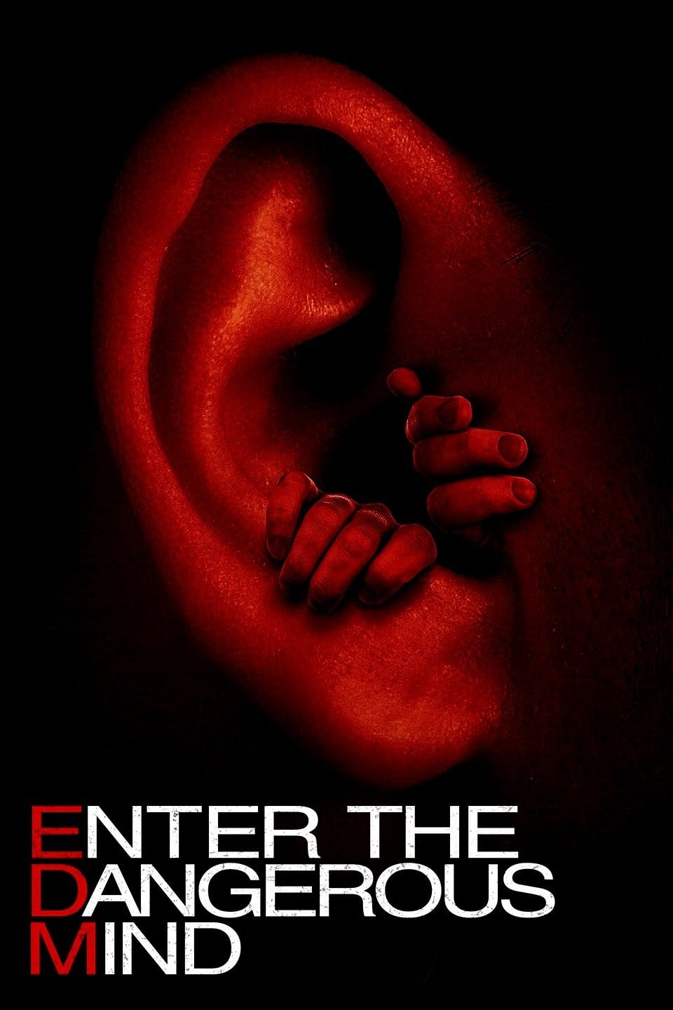 Постер Enter the Dangerous Mind